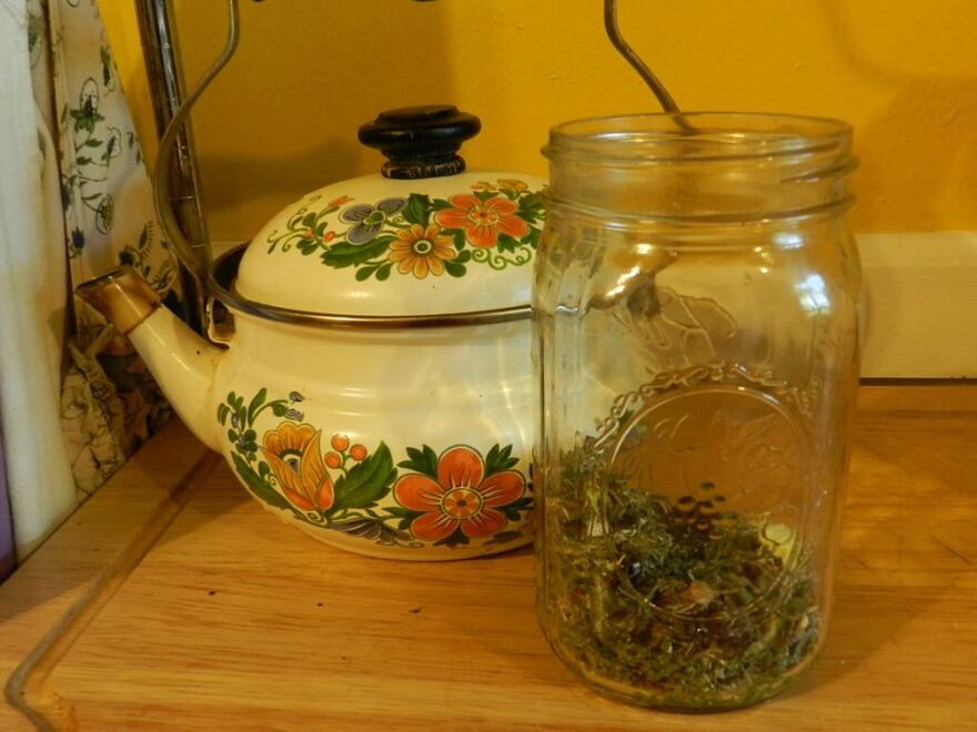 herb to remove parasites