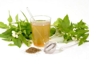Infusion of herbs for intestinal worms