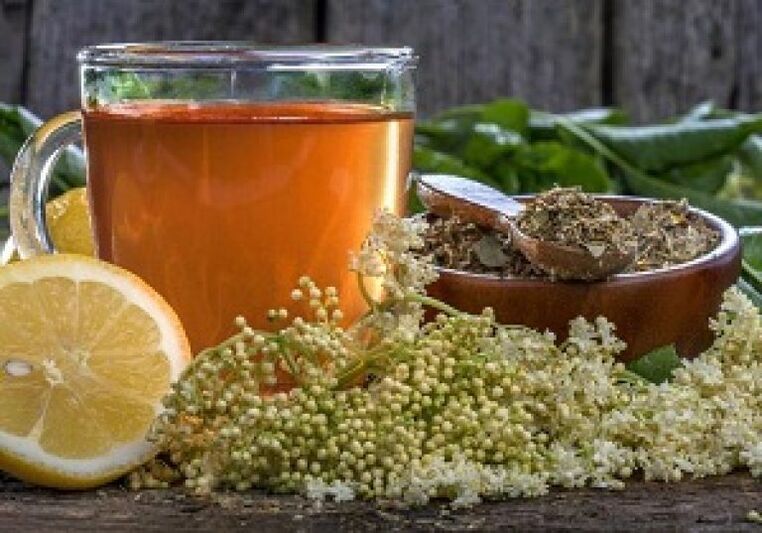 Folk remedies for the treatment of worms and parasites